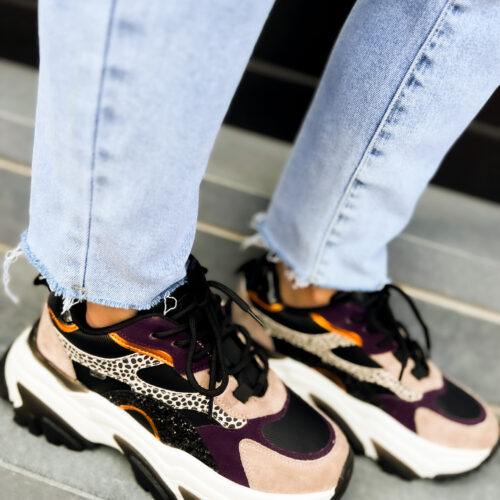 Basket basse pour femmes POELMAN POLLY Beige, aubergine et noir print animal semelle structurée bicolore